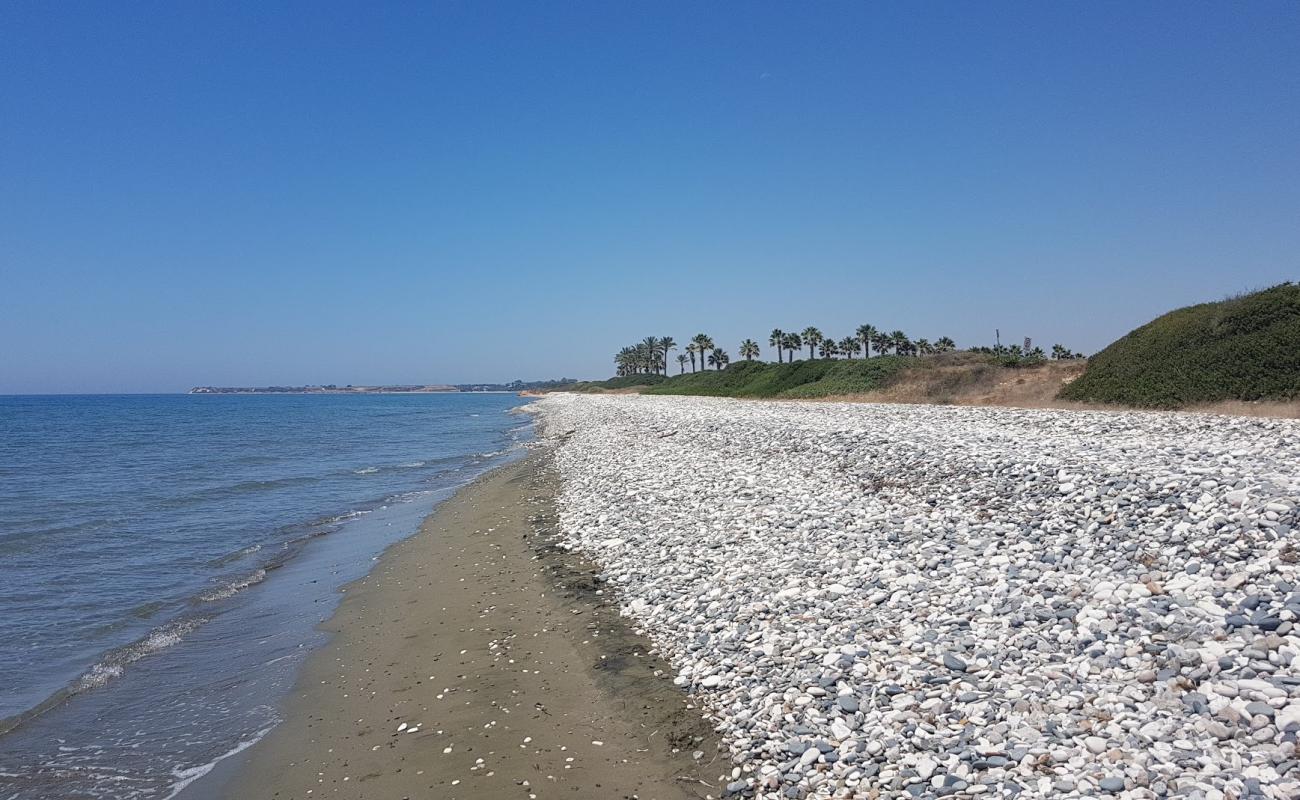 Photo of Mazotos beach with bright sand surface