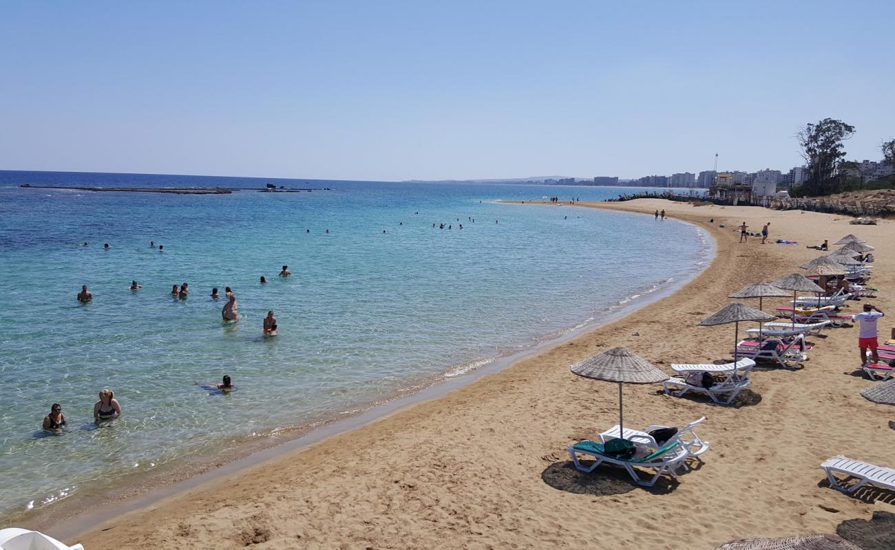 Photo of Palm beach with bright fine sand surface