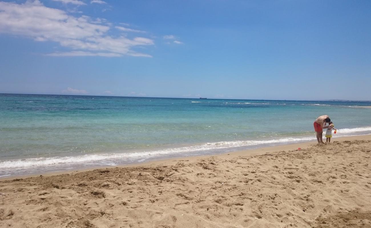 Photo of Salamis beach with bright sand surface