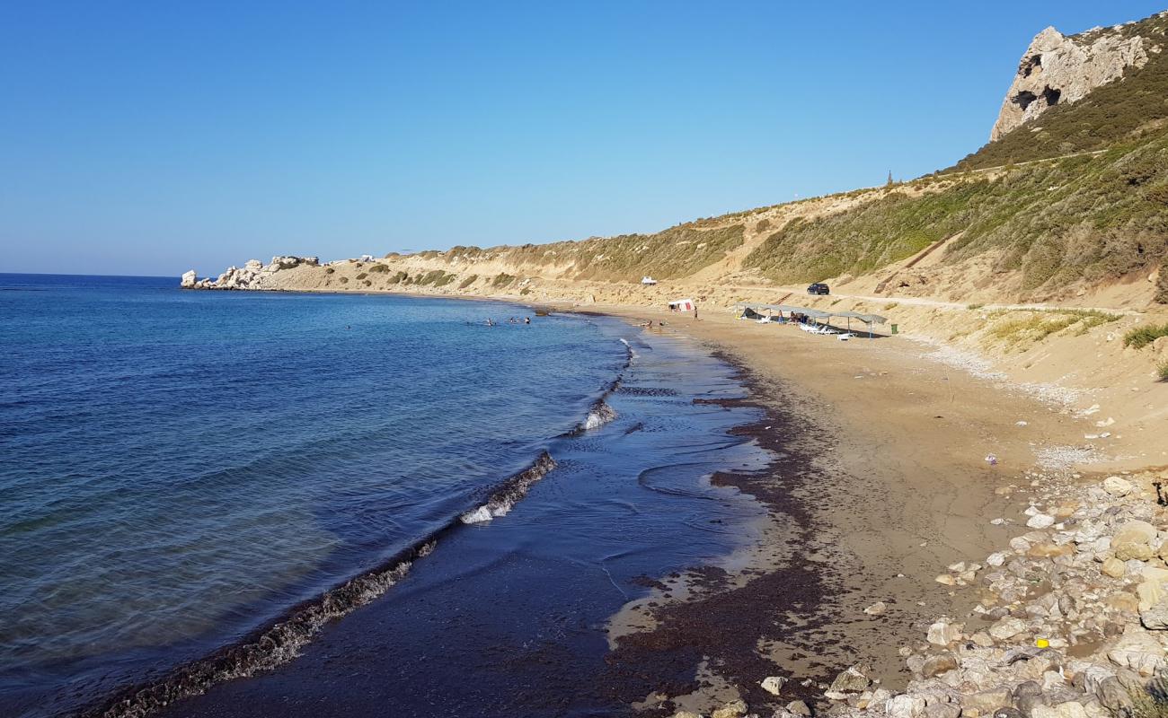 Photo of Hifzi karavan with bright sand surface