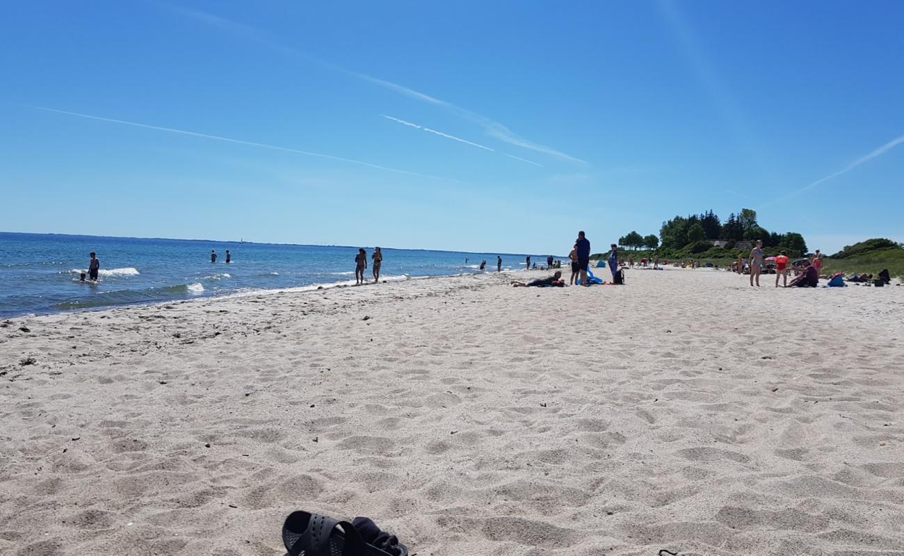 Photo of Drejby Beach with bright sand surface