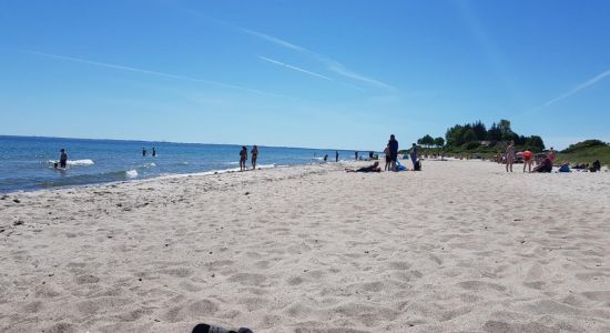 Drejby Beach