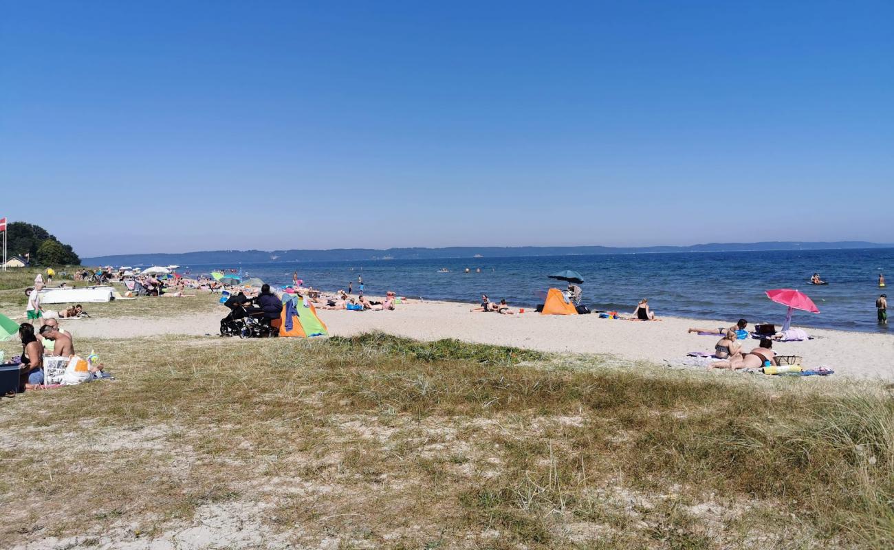 Photo of Holl Beach with bright sand surface