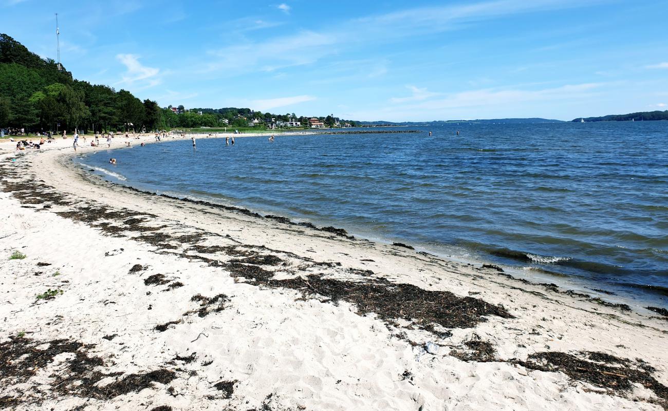 Photo of Albuen Beach with bright sand surface