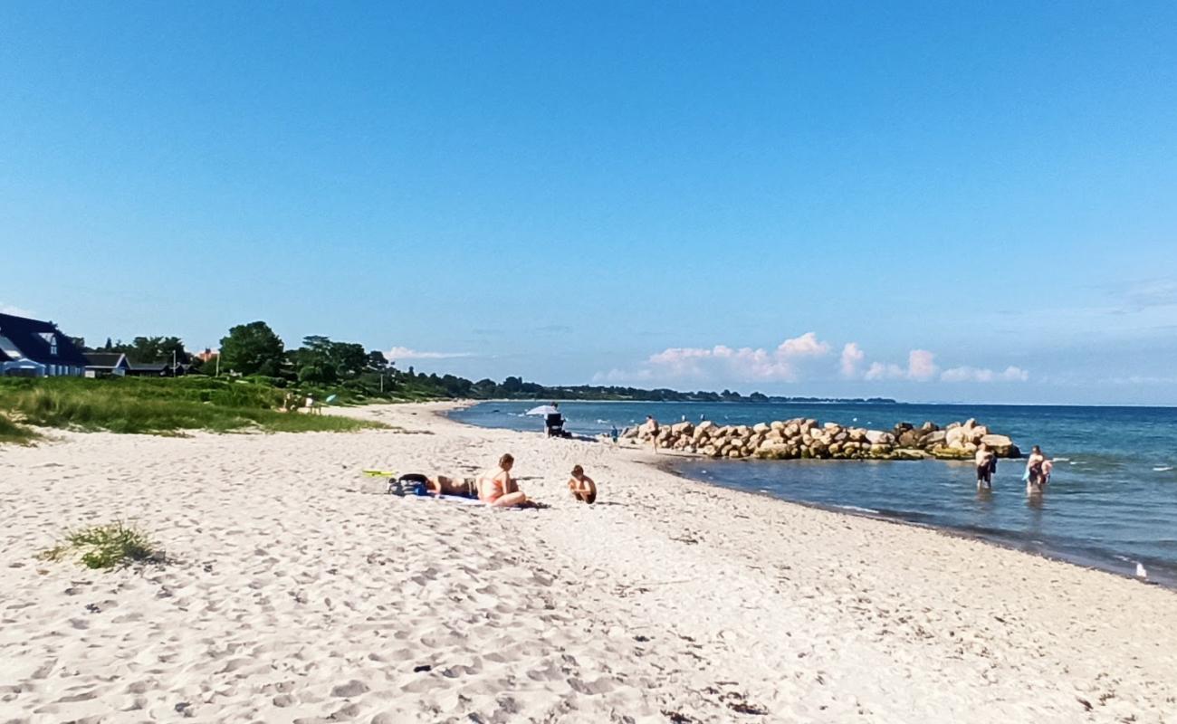 Photo of Dyngby Beach with bright sand surface