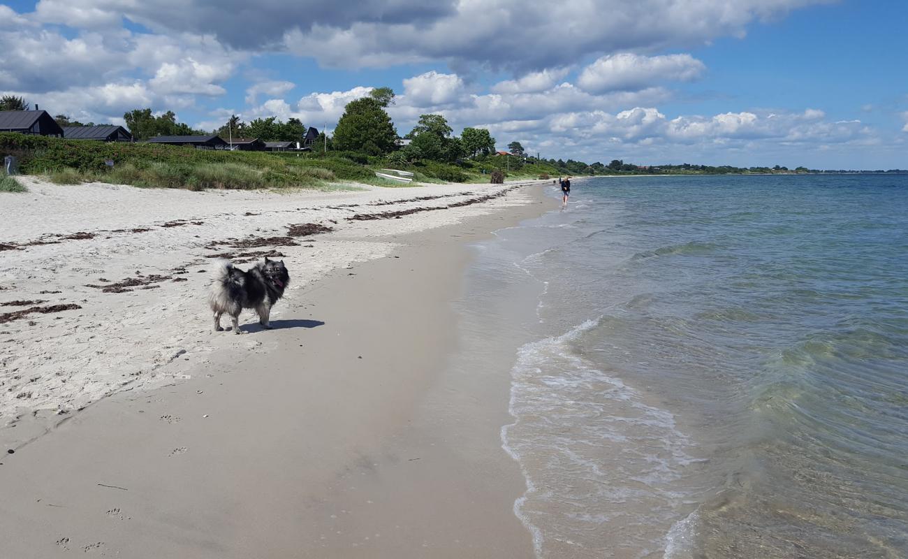 Photo of Saksild Beach with bright sand surface