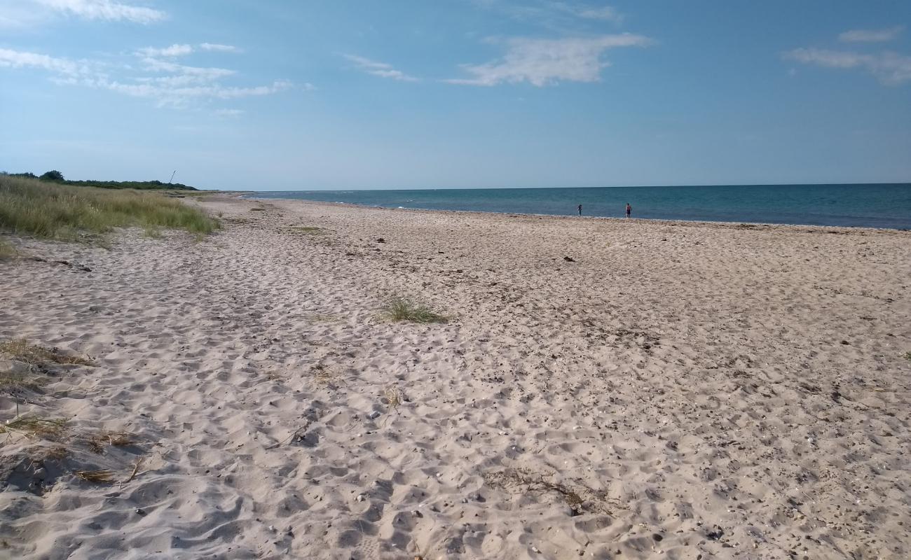 Photo of Gjerrild Nord Beach with bright sand surface