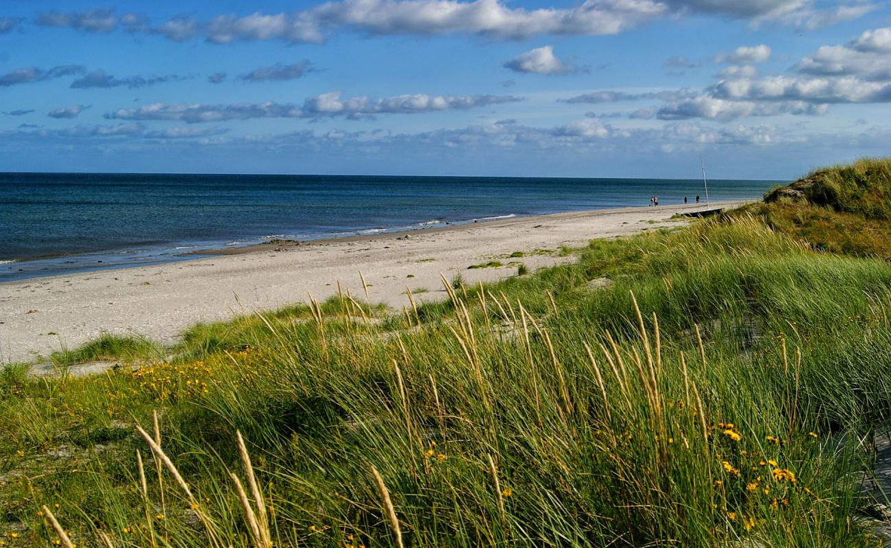 Photo of Lyngsa Beach with bright sand surface