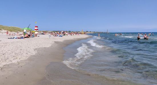 Skagen Sonder Beach