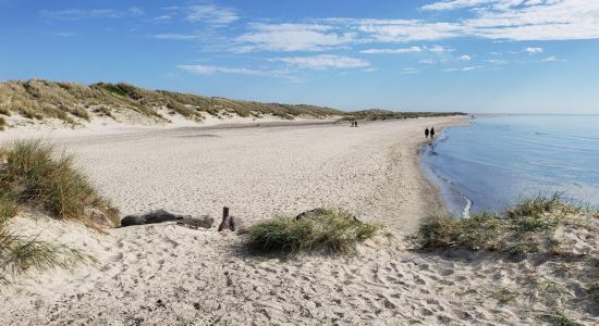 Skagen Nord Beach