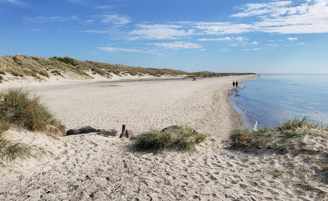 Photo of Gammel Skagen Beach with bright sand surface