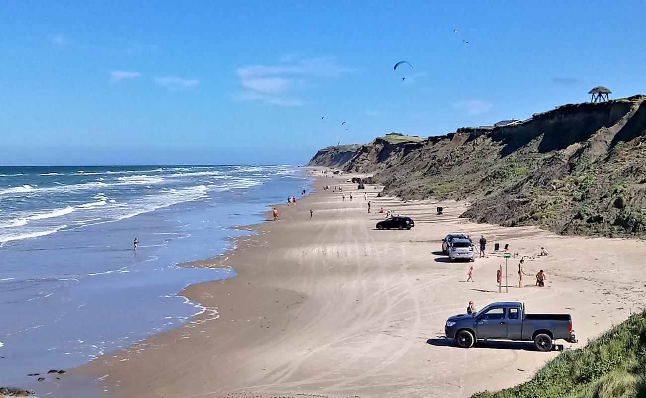 Photo of Lyngby Beach with bright sand surface