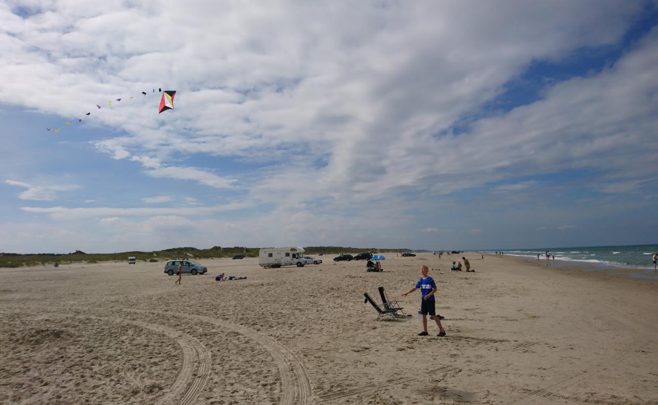 Photo of Gronhoj Beach with bright sand surface