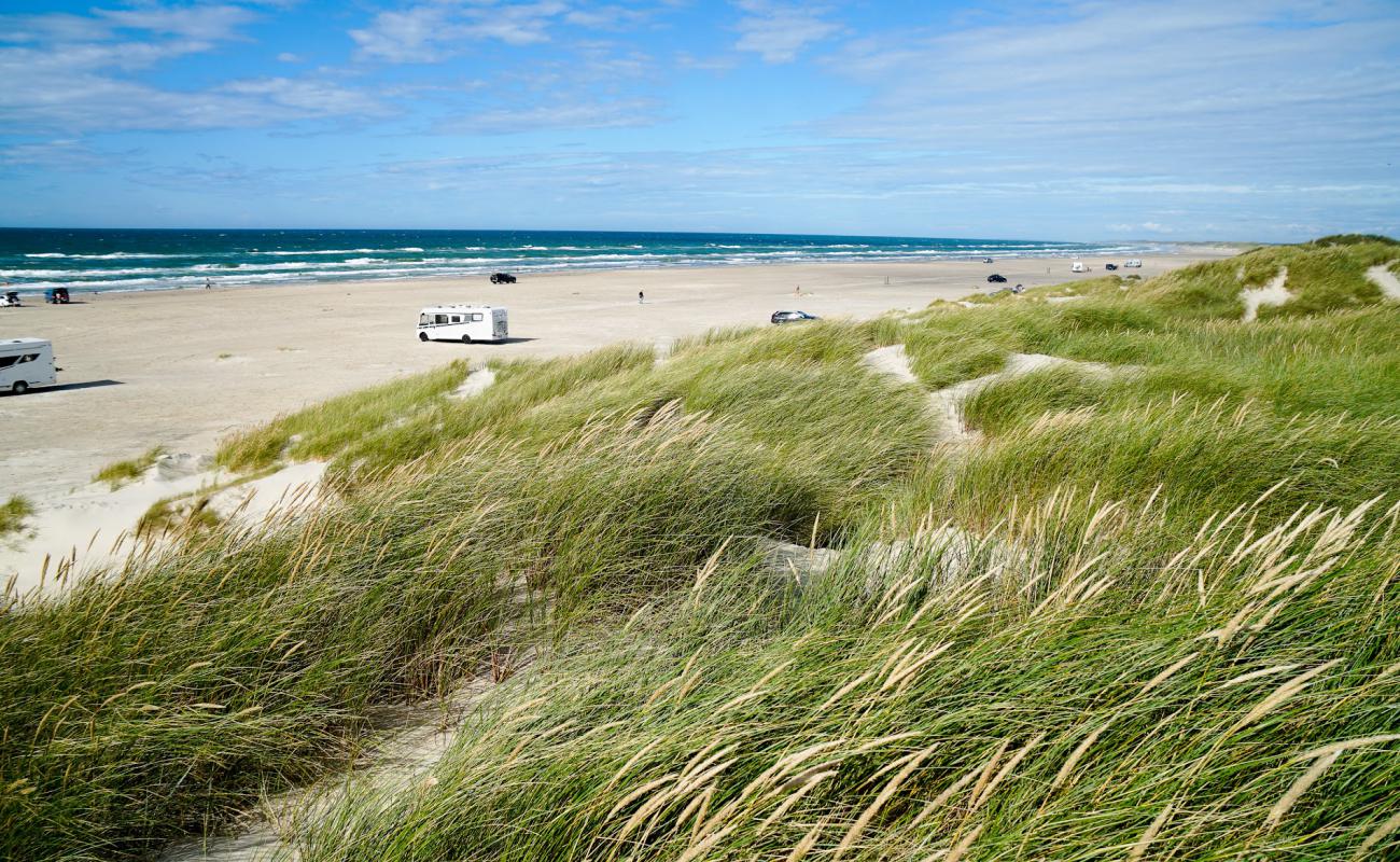 Photo of Rodhus Beach with bright sand surface