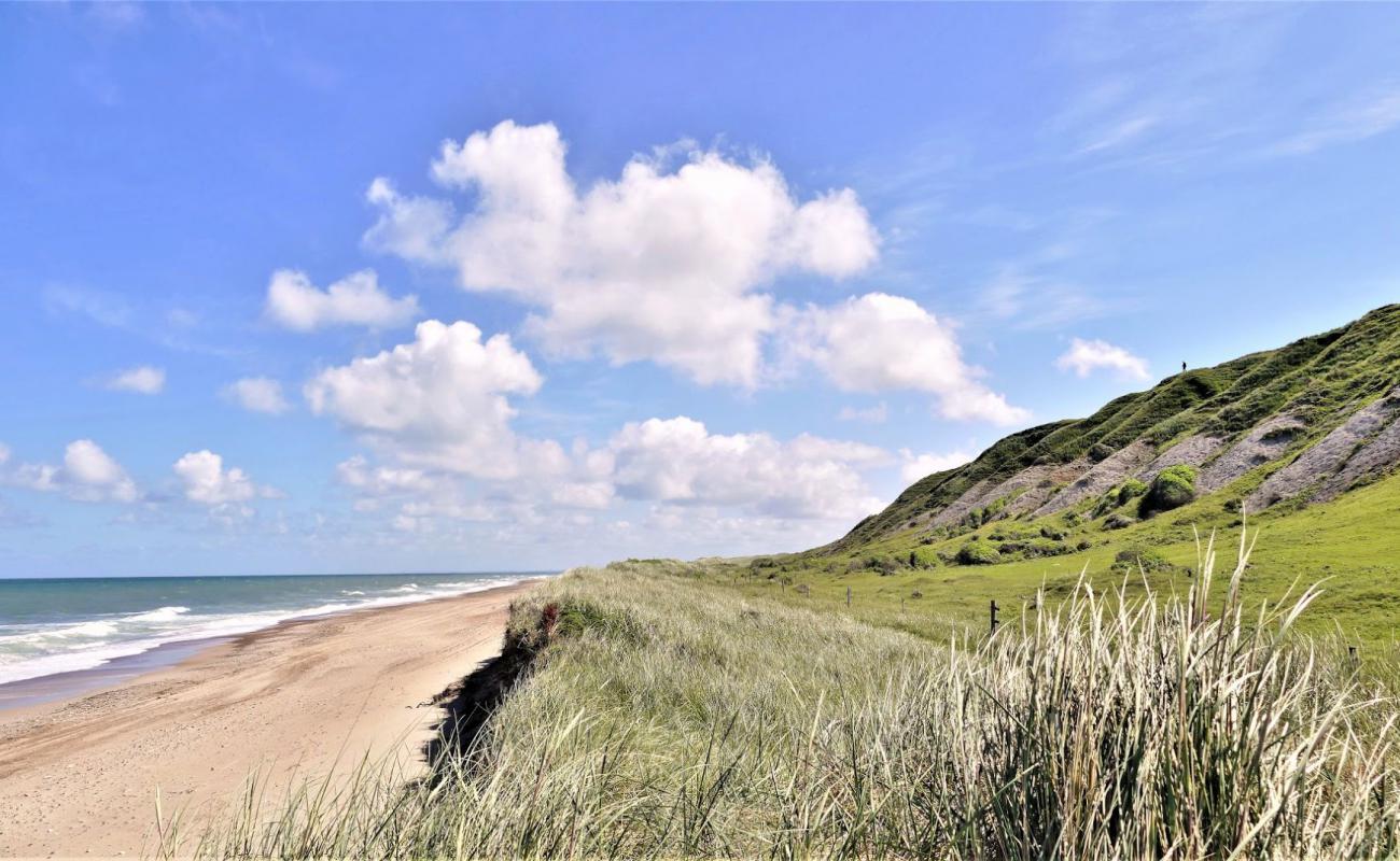 Photo of Svinklov Beach with bright sand surface