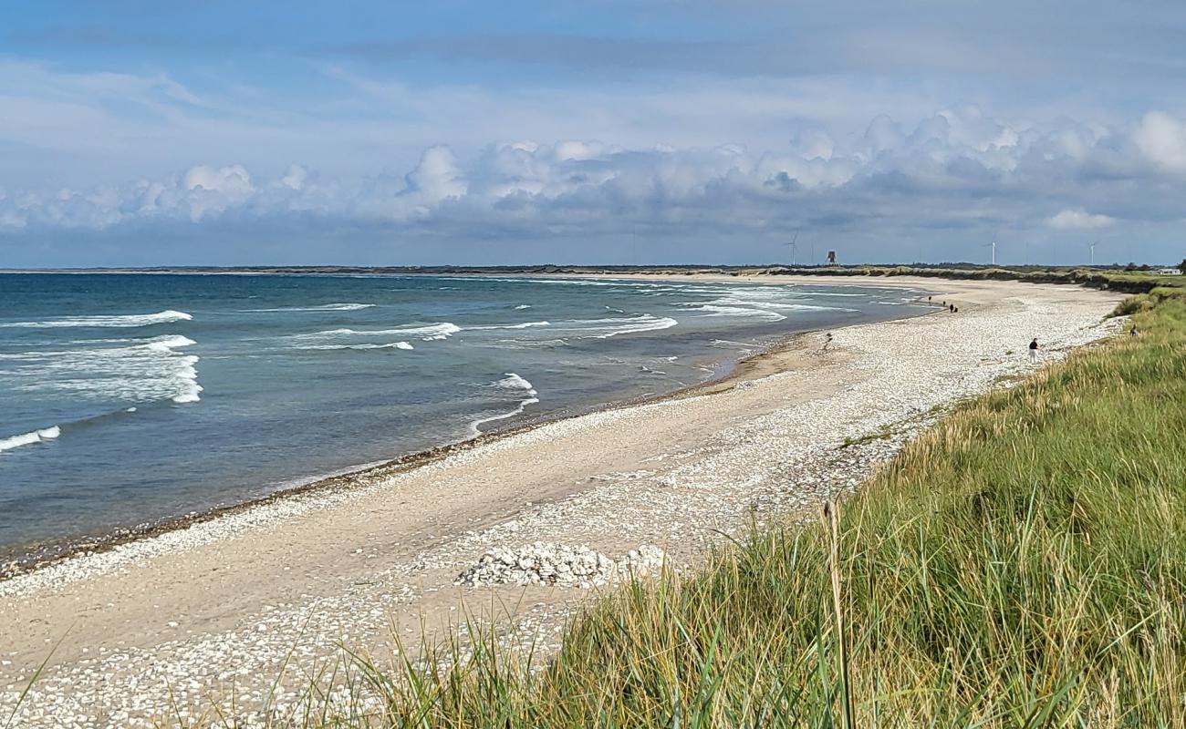 Photo of Vigso Battery Beach with bright sand & rocks surface