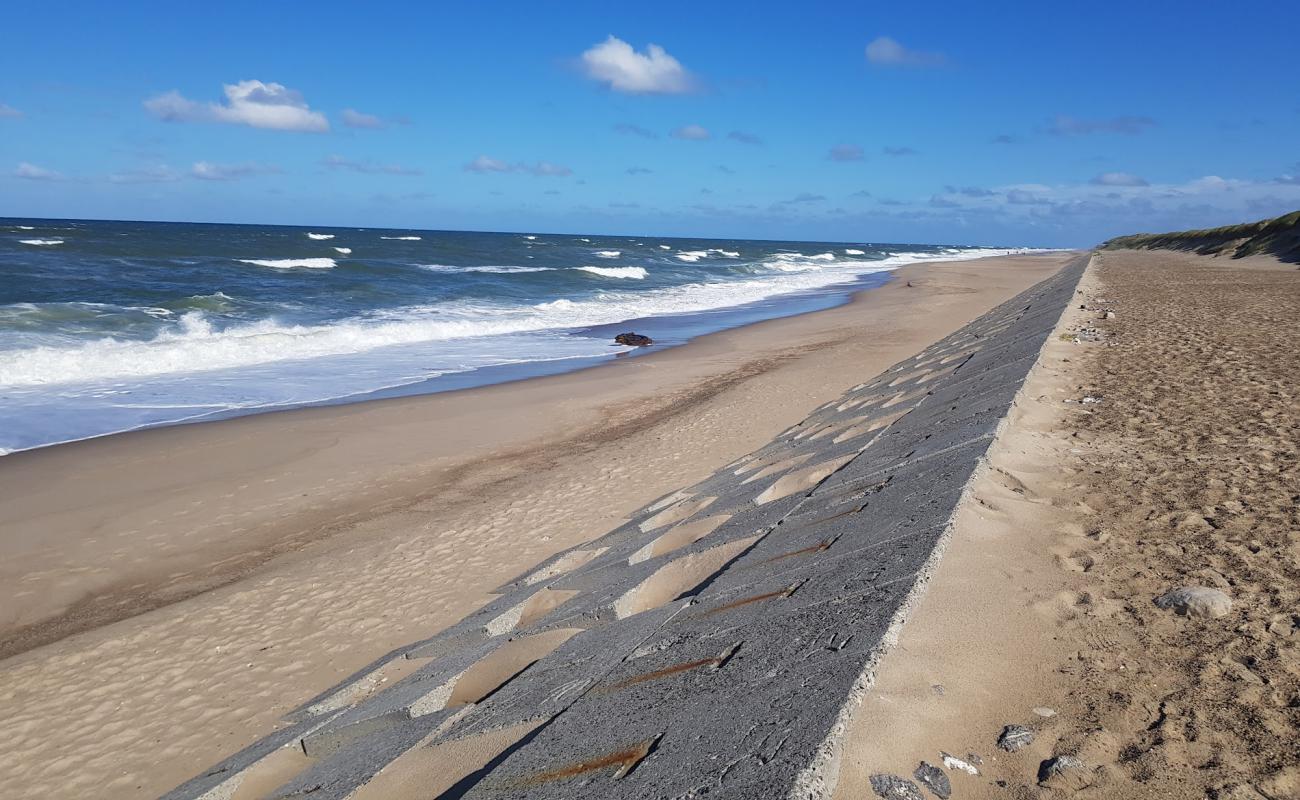 Photo of Vejlby Klit Beach with bright sand surface