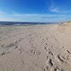 Spidsbjerg Beach