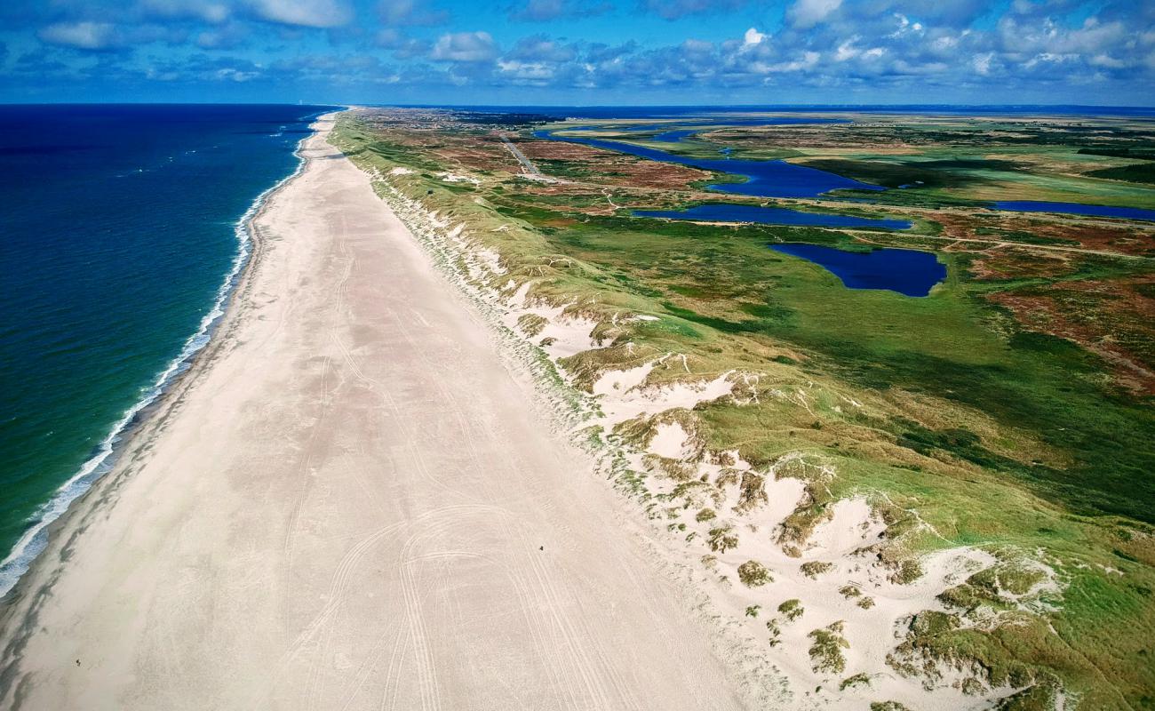 Photo of Nymindegab Beach with bright sand surface