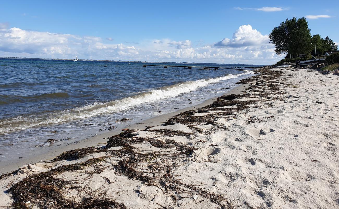 Photo of Elsehoved Beach with bright sand surface