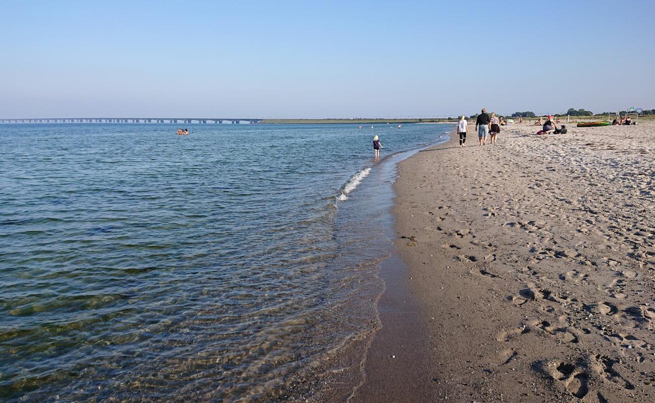 Photo of Nyborg Beach with bright sand surface