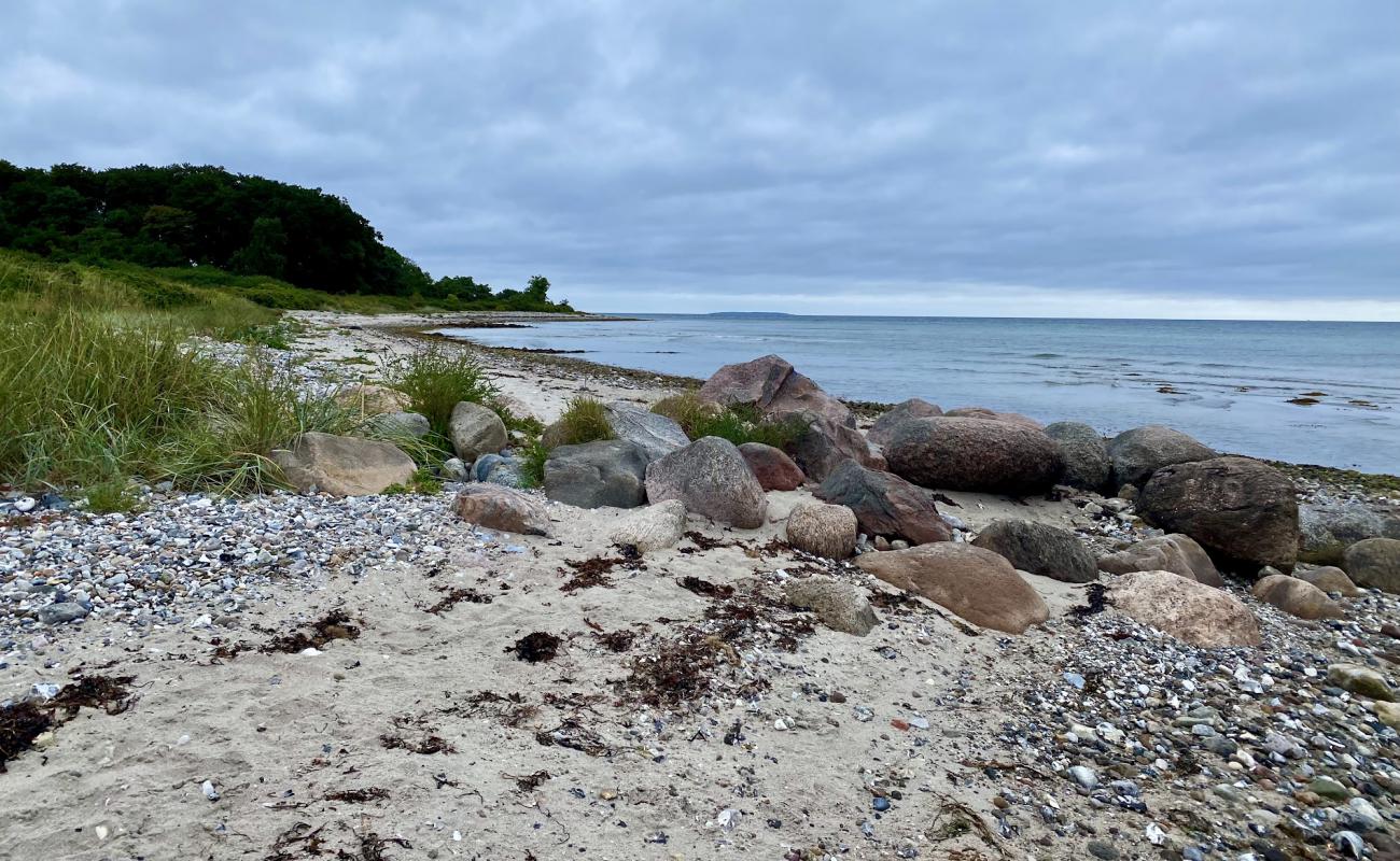 Photo of Nordenhuse Beach with light sand &  pebble surface