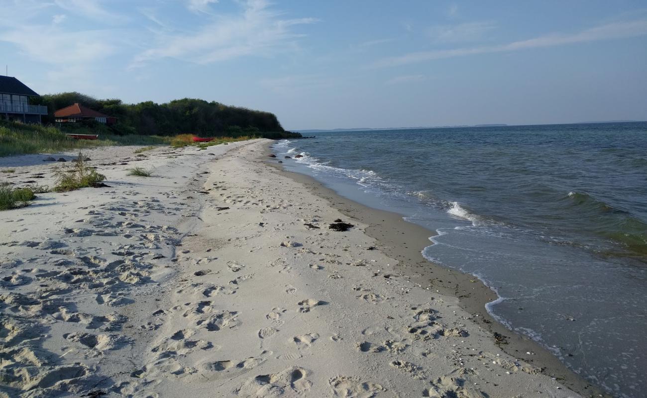 Photo of Dinestrup Beach with bright sand surface