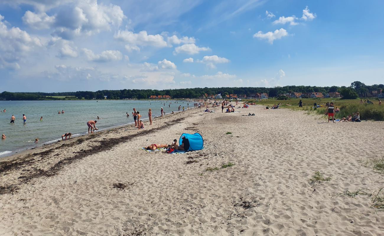 Photo of Kerteminde Beach with light sand &  pebble surface