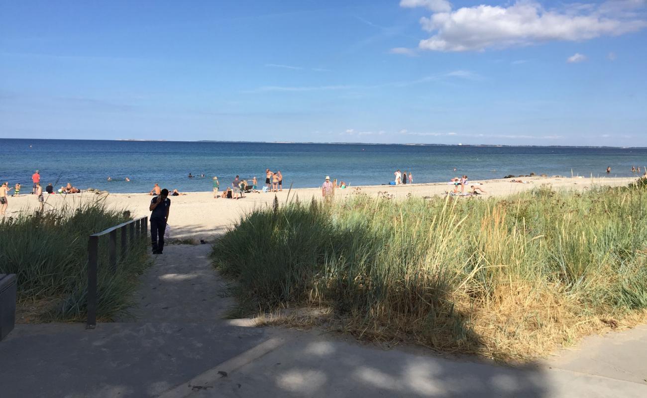 Photo of Hasmark Beach with bright sand surface