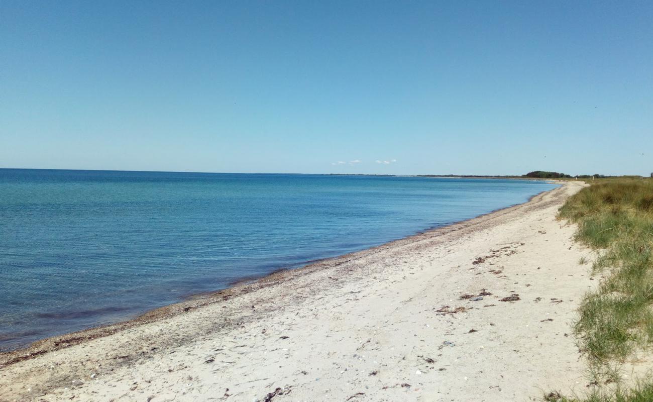 Photo of Bredfjed Beach with bright sand surface