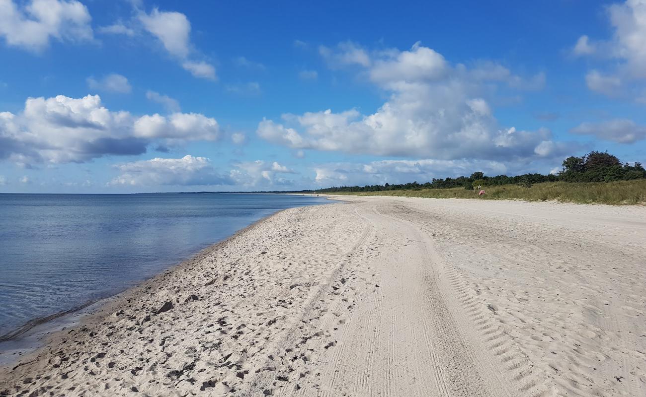 Photo of Marielyst Beach with bright sand surface