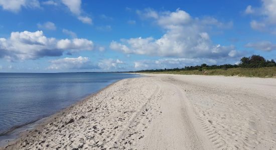 Marielyst Beach