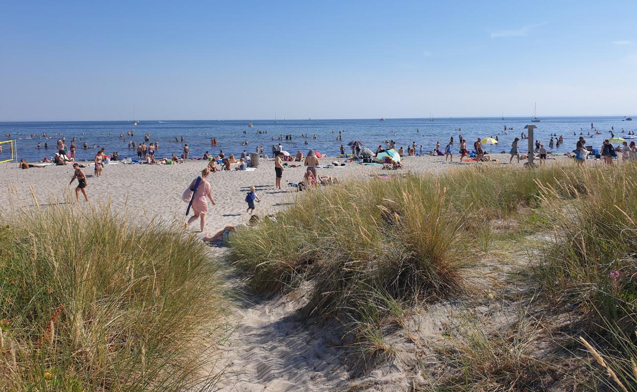 Photo of Ishoj Beach with bright sand surface