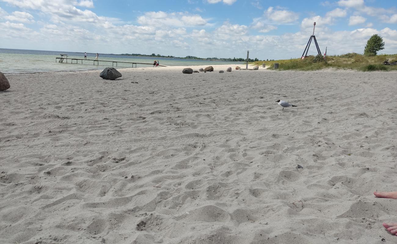 Photo of Brondby Beach with bright sand surface