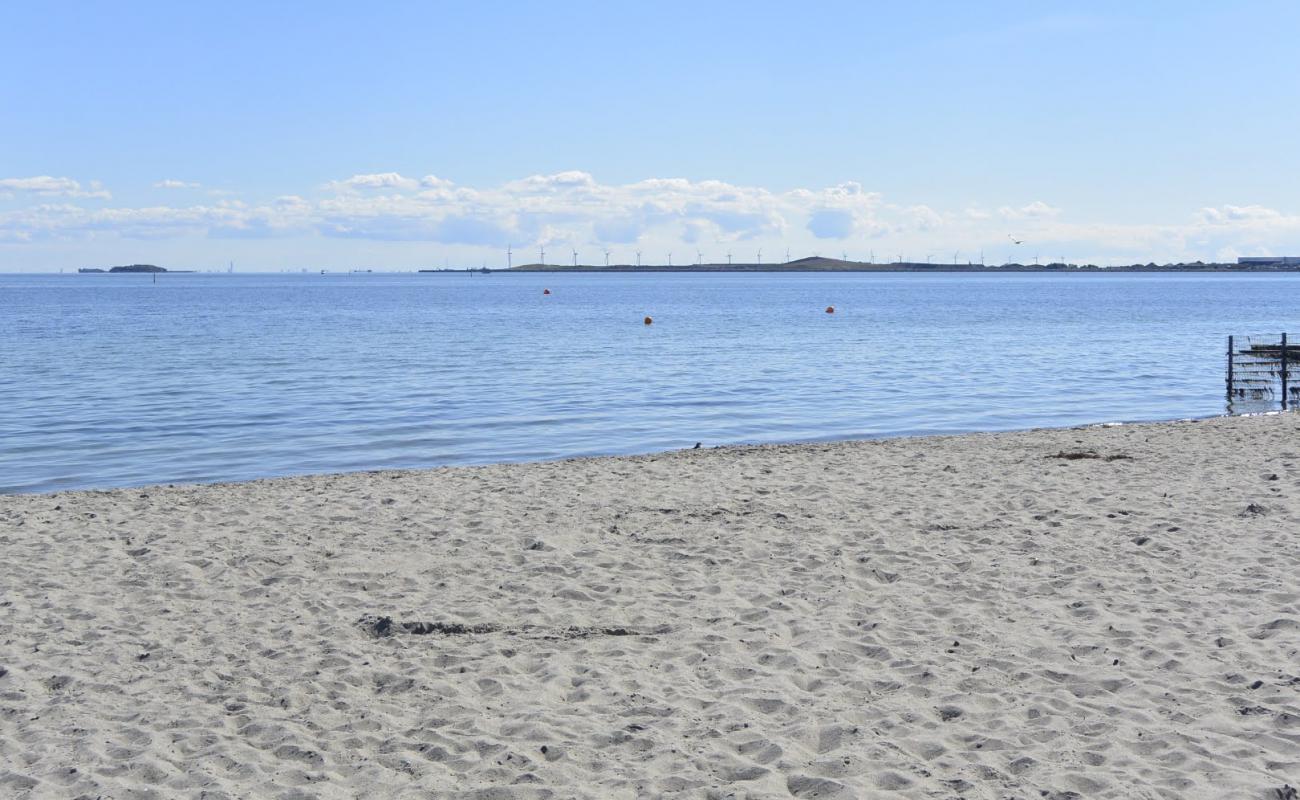 Photo of Strandlund nudist Beach with bright sand surface