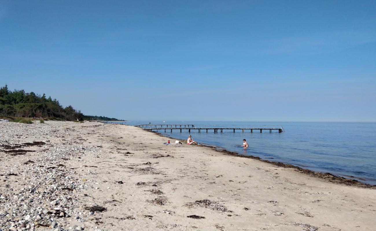 Photo of Smidstrup Beach with light sand &  pebble surface