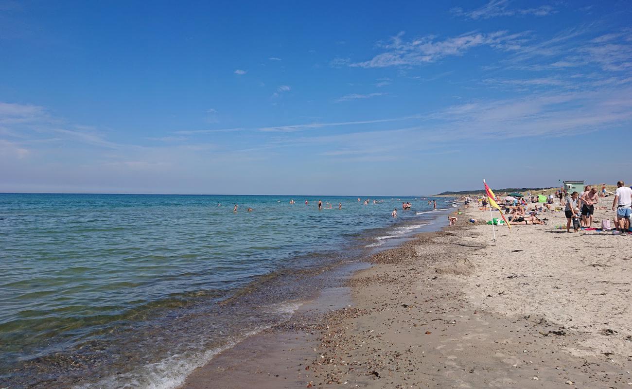 Photo of Stangehus Beach with light sand &  pebble surface