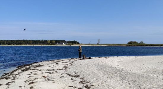 Skansehage Beach