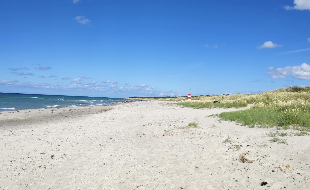 Photo of Rorvig Beach with bright sand surface