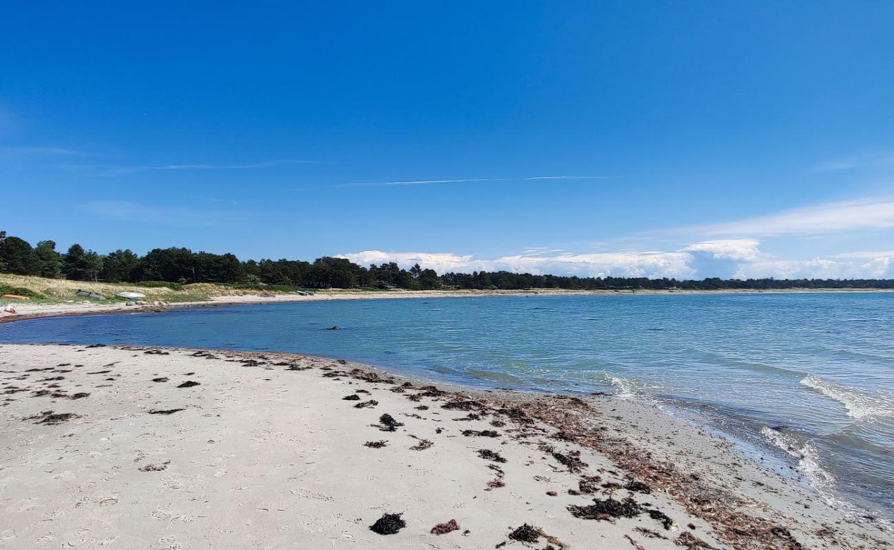 Photo of Tengslemark Beach with bright sand surface