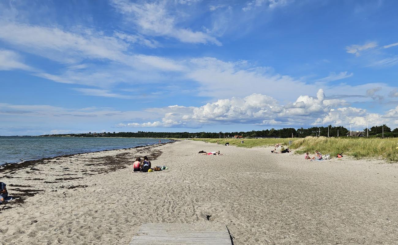 Photo of Stillnge Beach with bright sand surface