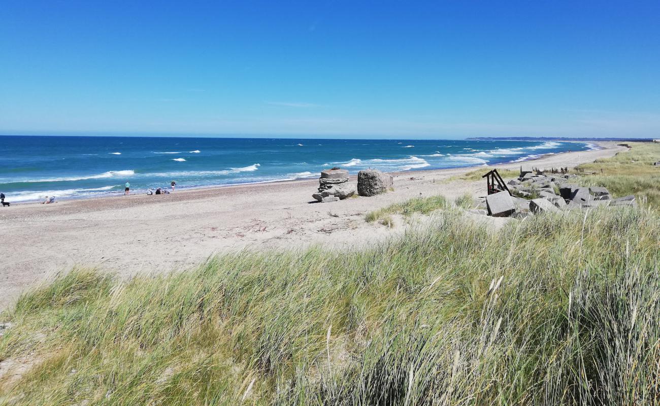 Photo of Thorup Beach with bright sand surface