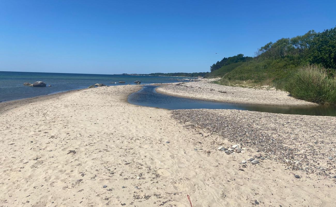 Photo of Strand Molle Odde with bright sand surface