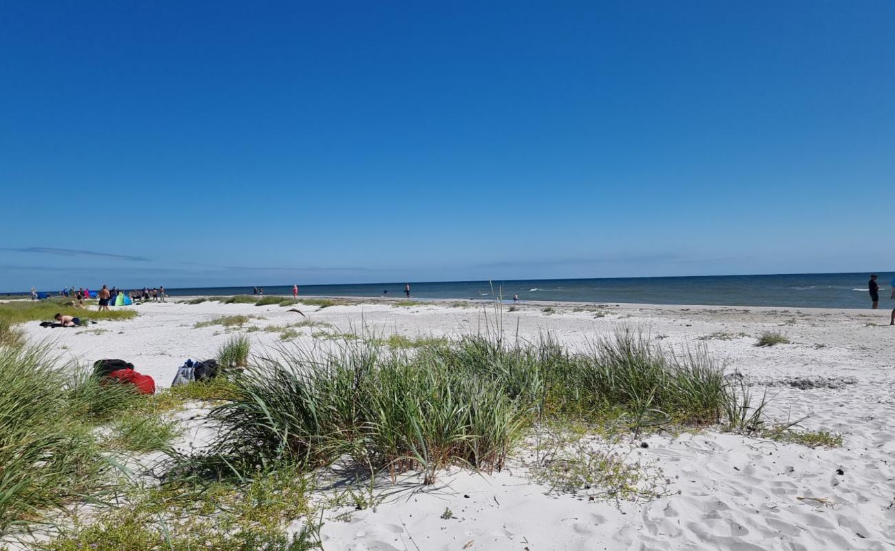 Photo of Dueodde Beach with white sand surface