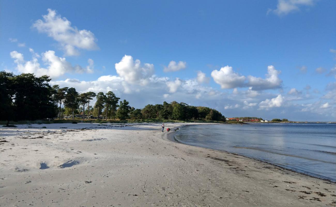 Photo of Snogebaek Strand with bright sand surface