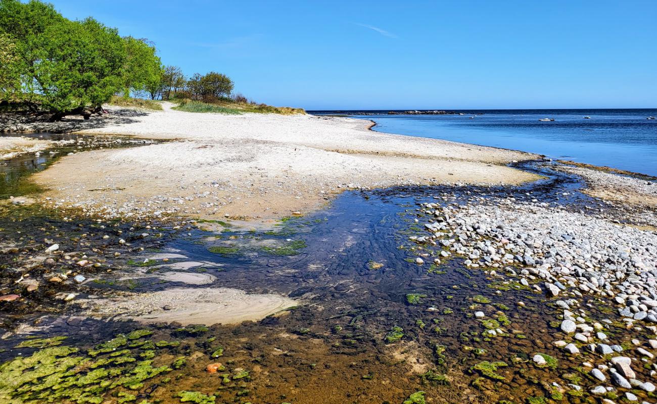 Photo of Melsted Beach with bright sand surface