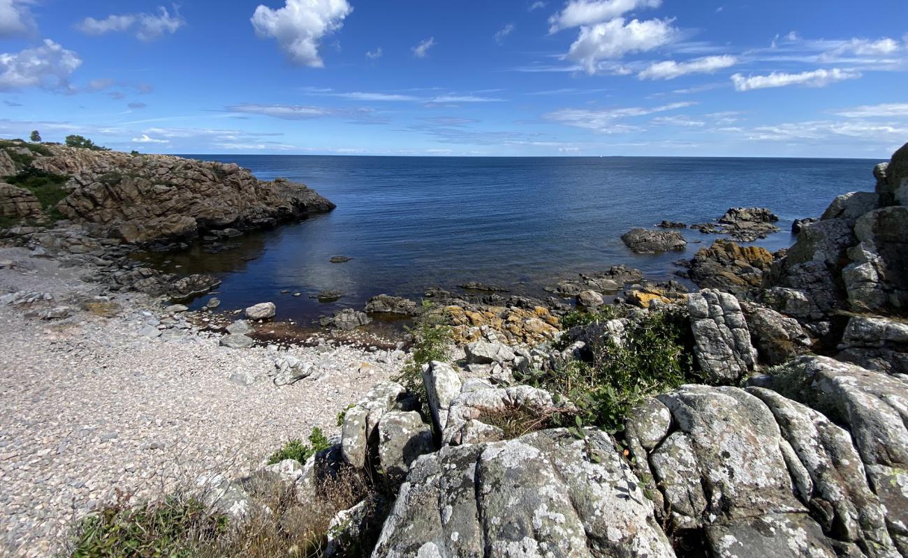 Photo of Gudhjem Beach with rocks cover surface