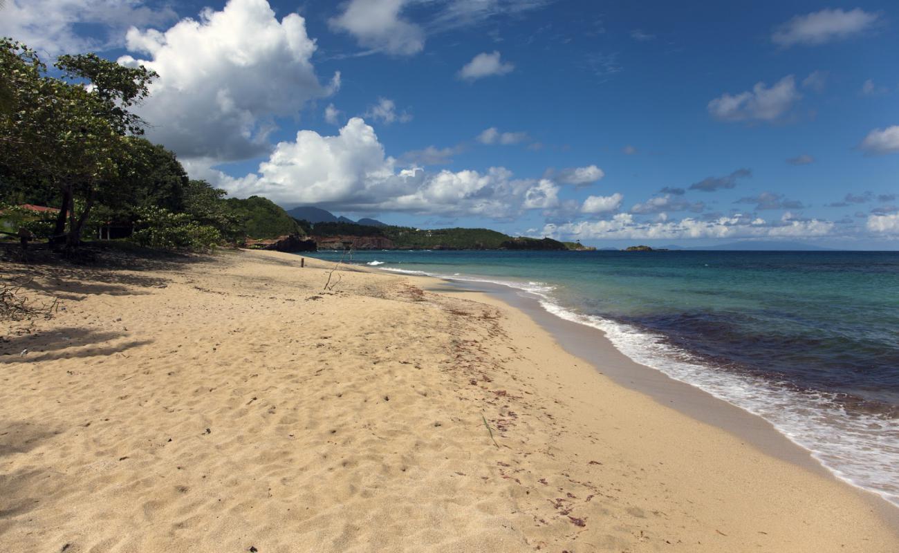 Photo of La Taile Bay Beach with brown sand surface