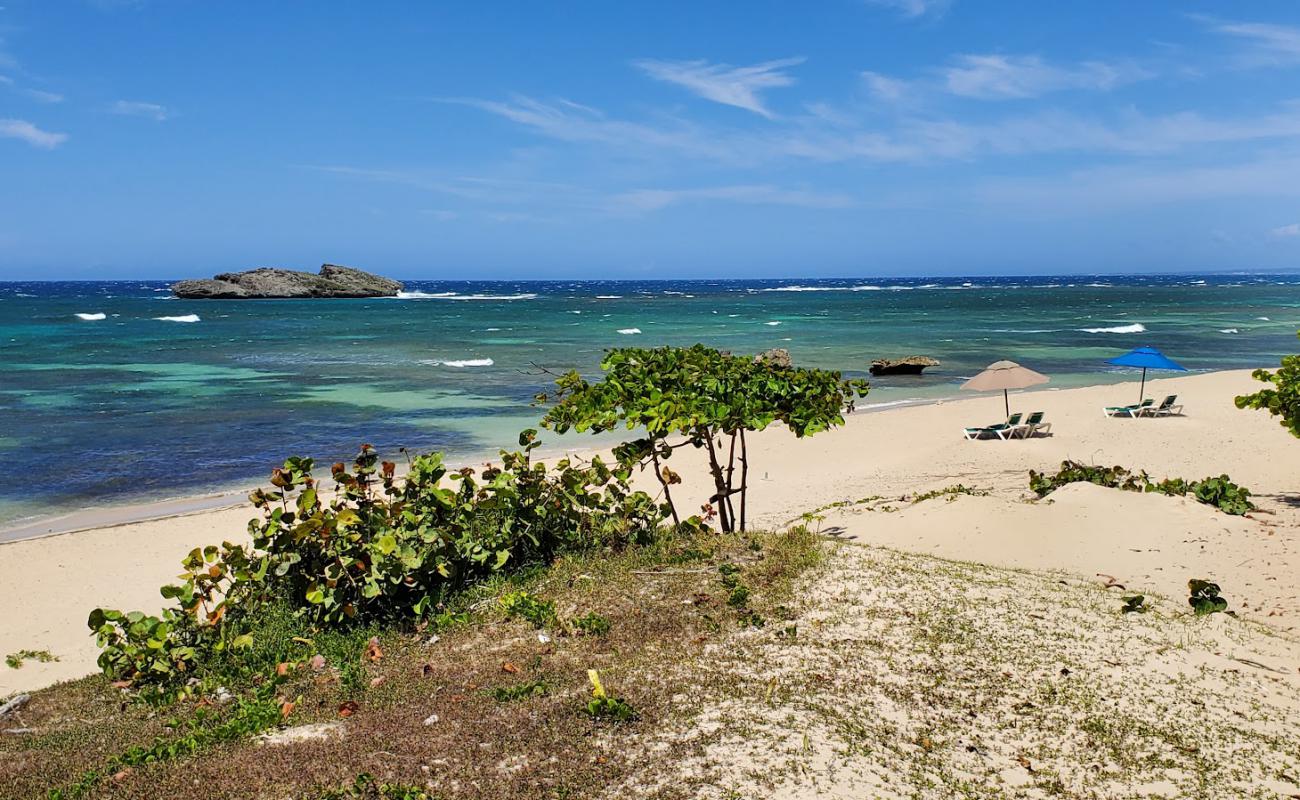 Photo of Cosita rica beach with bright sand surface