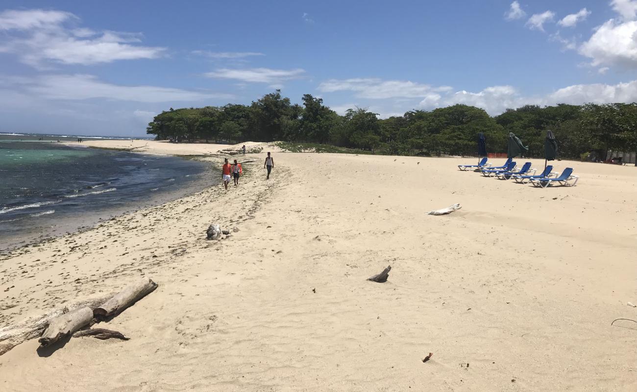 Photo of Long beach with bright sand surface